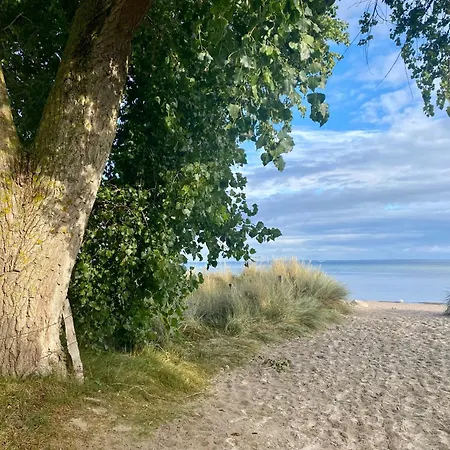 Vakantiehuis Suedstrand Haus 37